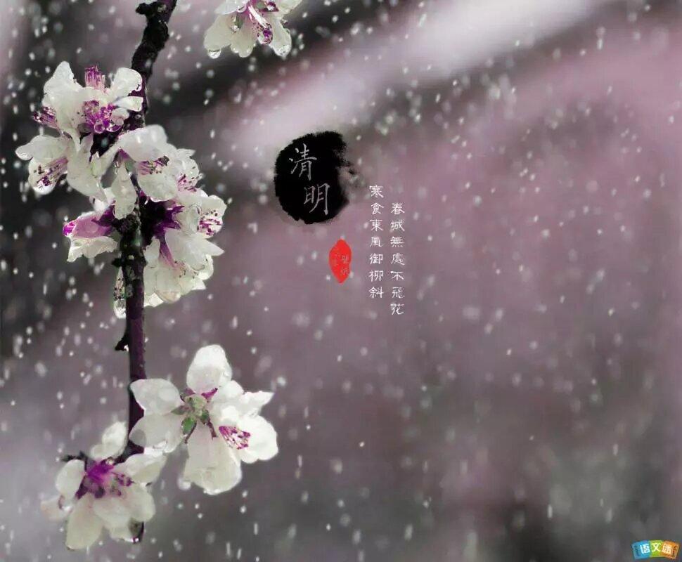 一年一清明，一岁一追思！

在这个世界上，无论权势显赫的伟人还是家财亿万的富商，