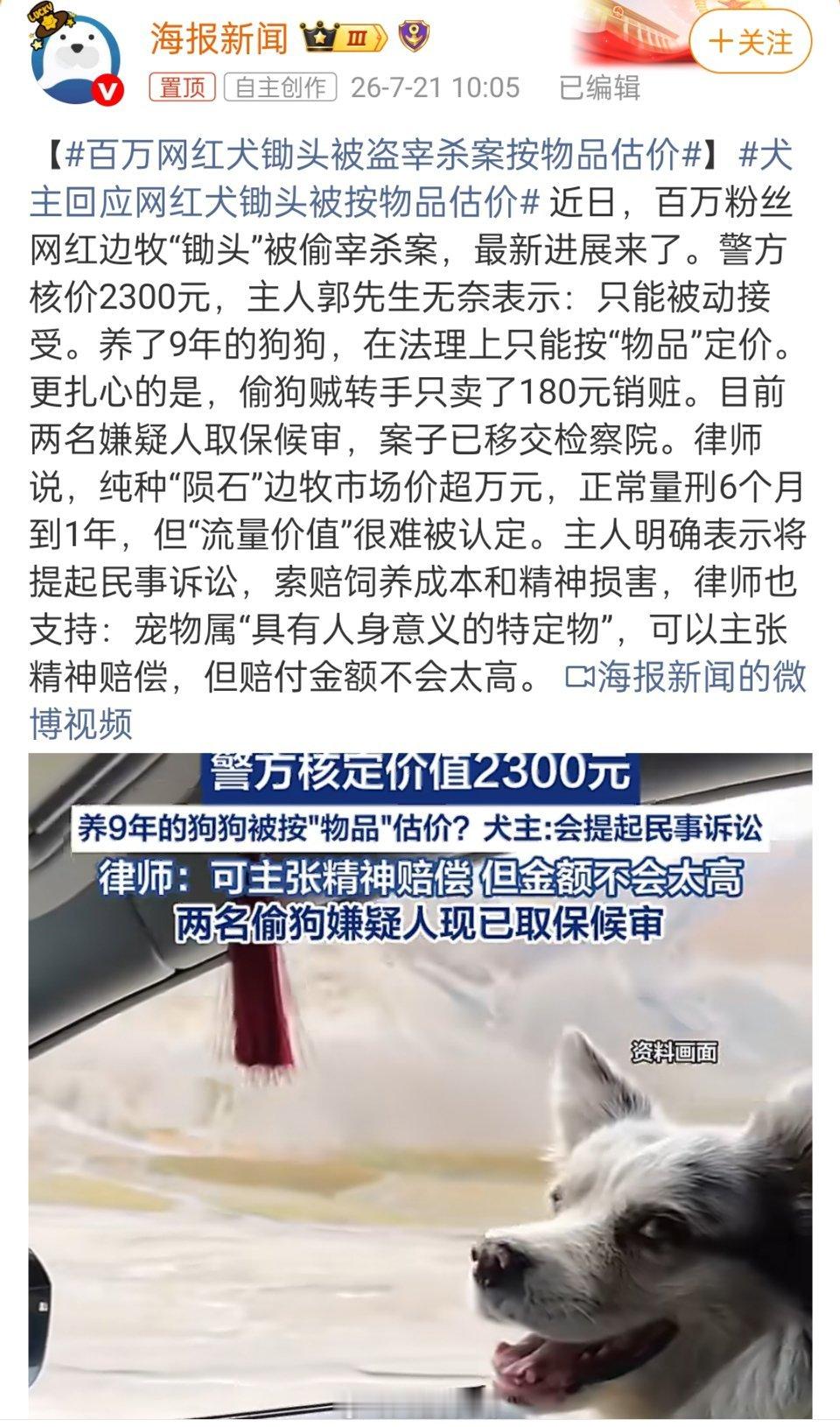百万网红犬锄头被盗宰杀案按物品估价偷狗贼只卖180元，9年感情只值2300元？这