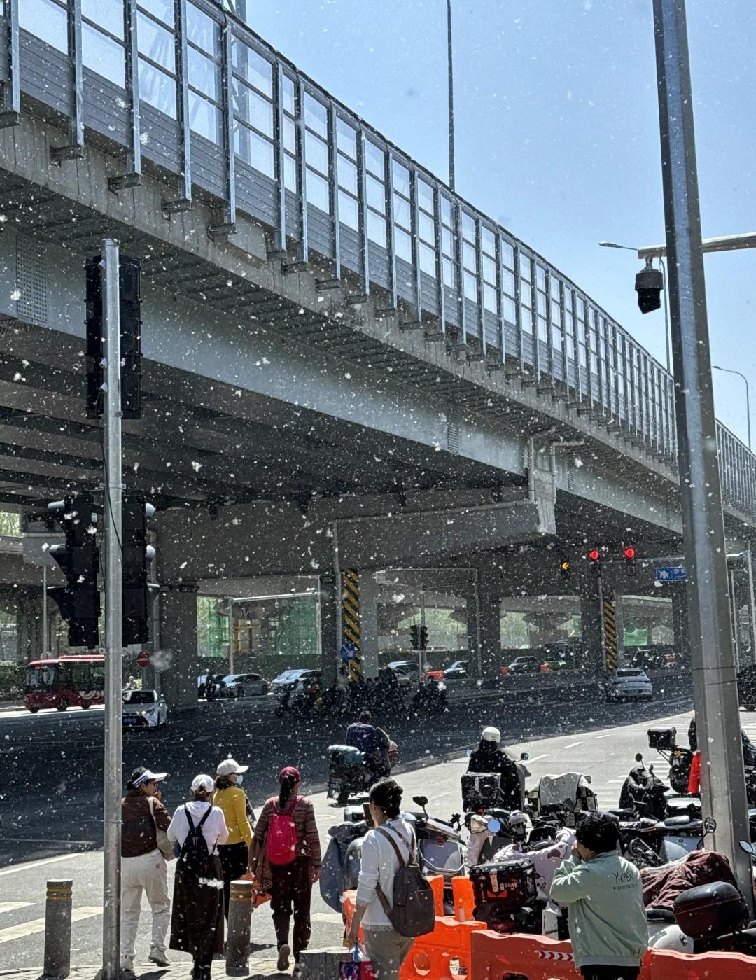 北京这是下雪了吗？？？
过敏的人啊，你们在北京是怎么活下来的啊？
	
下雪了下雪