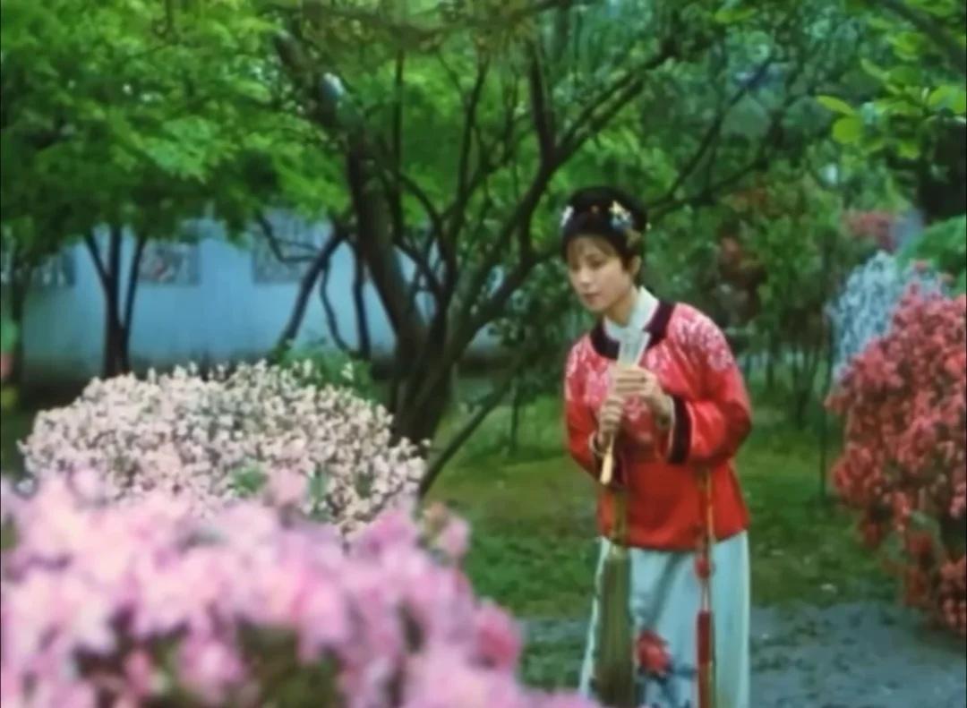 89影版红楼梦的宝钗扑蝶好鲜活呀
傅艺伟演得也太好了！
最后没有扑到蝴蝶，还气呼