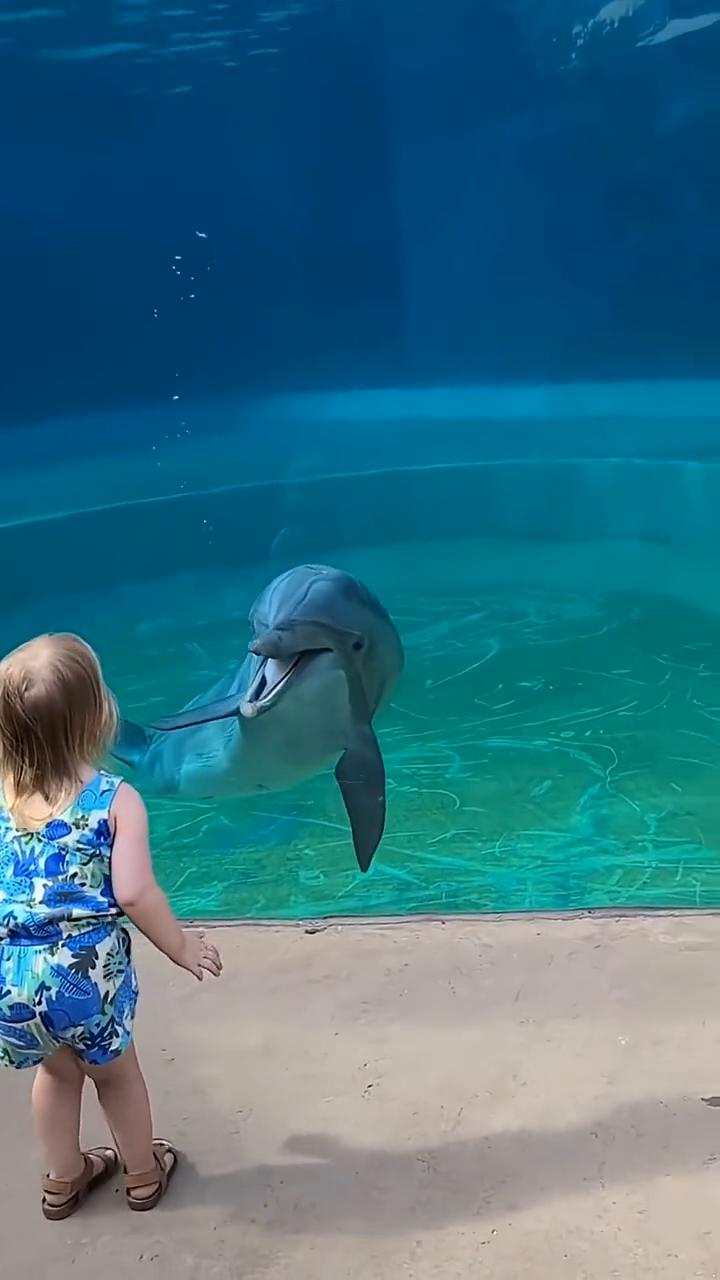 ·pov：your toddler holds asloth.This litt