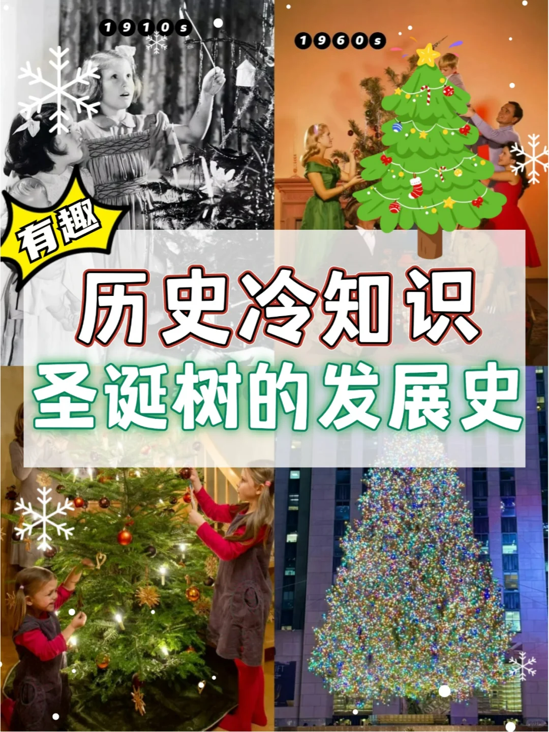 趣味历史课🎄圣诞树的发展史，鲜为人知