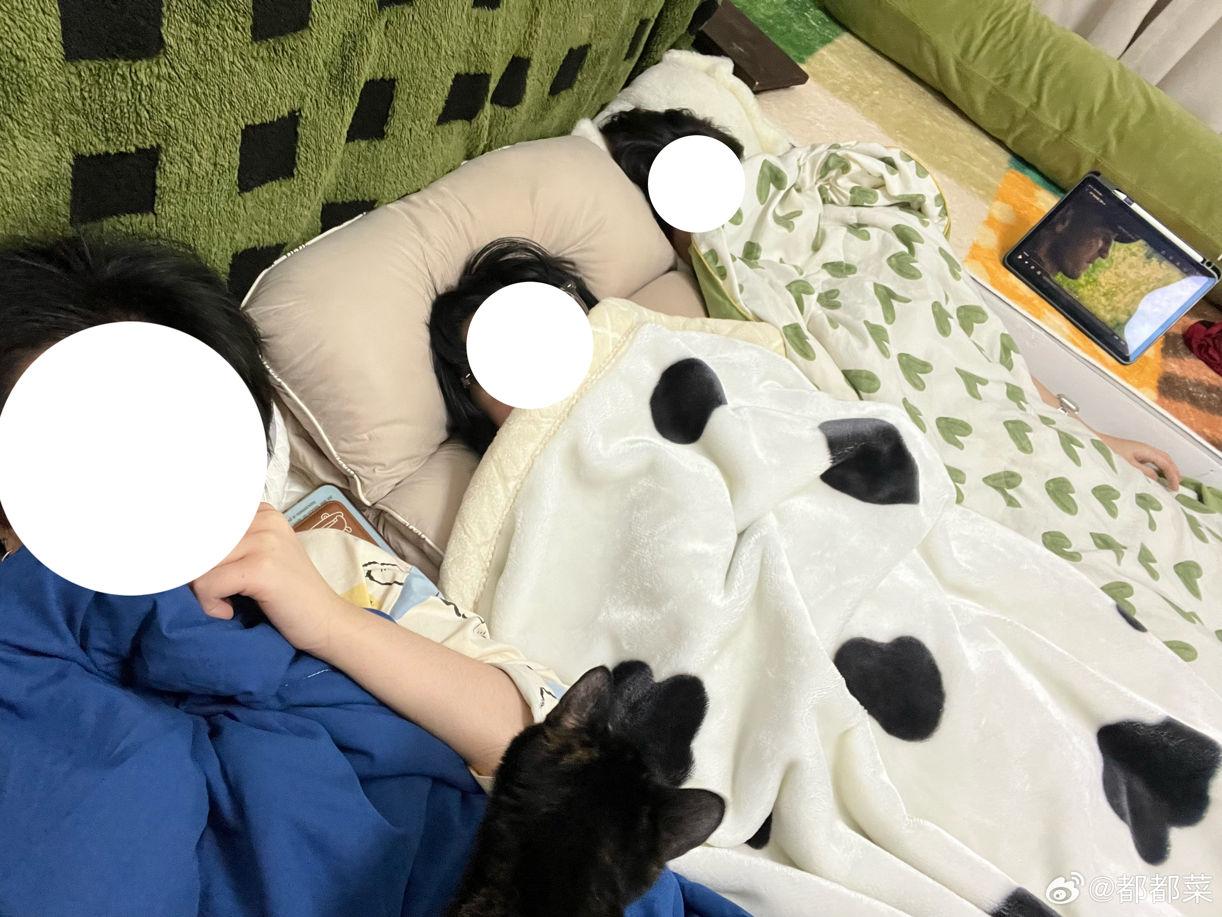 zs姐们跨越千里来睡我床。三个人挤一张小床（ 