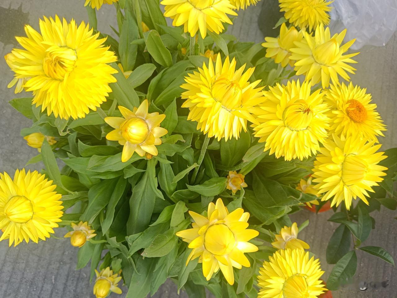 核心结论：在健康作息+均衡饮食的前提下，晚餐建议吃得相对少一些。
 
 
晚间身