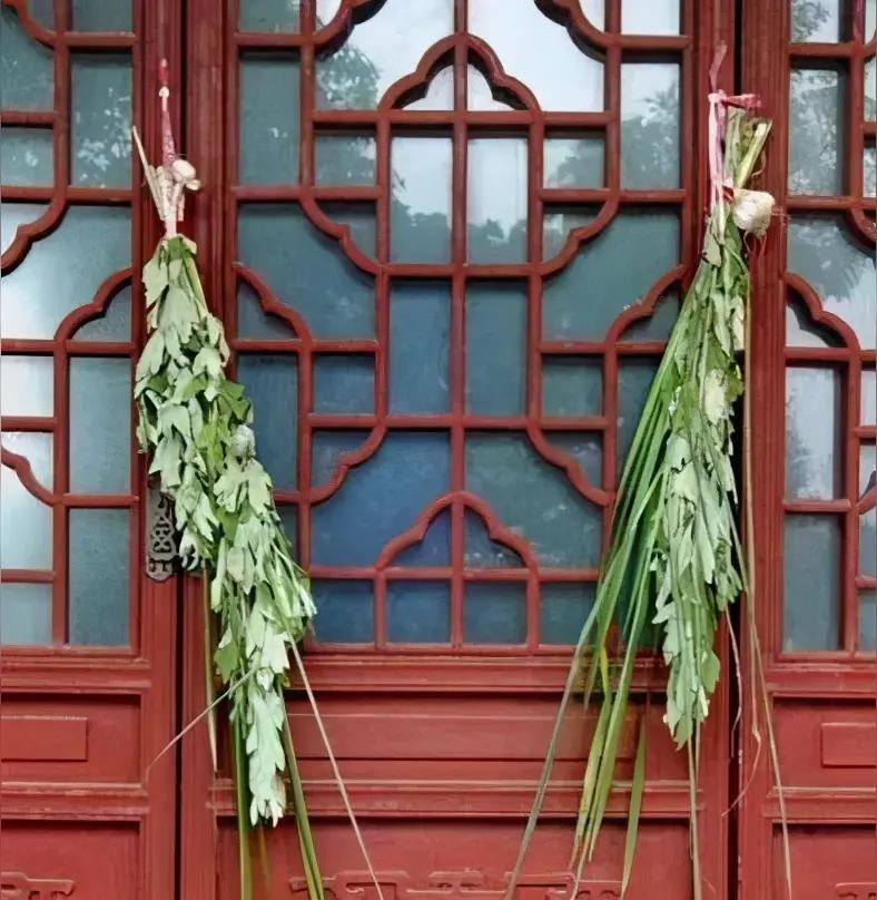 端午挂艾草风裹着粽叶的香气漫过巷口时，奶奶手里的竹篮已经盛满了带着露水珠的艾草。