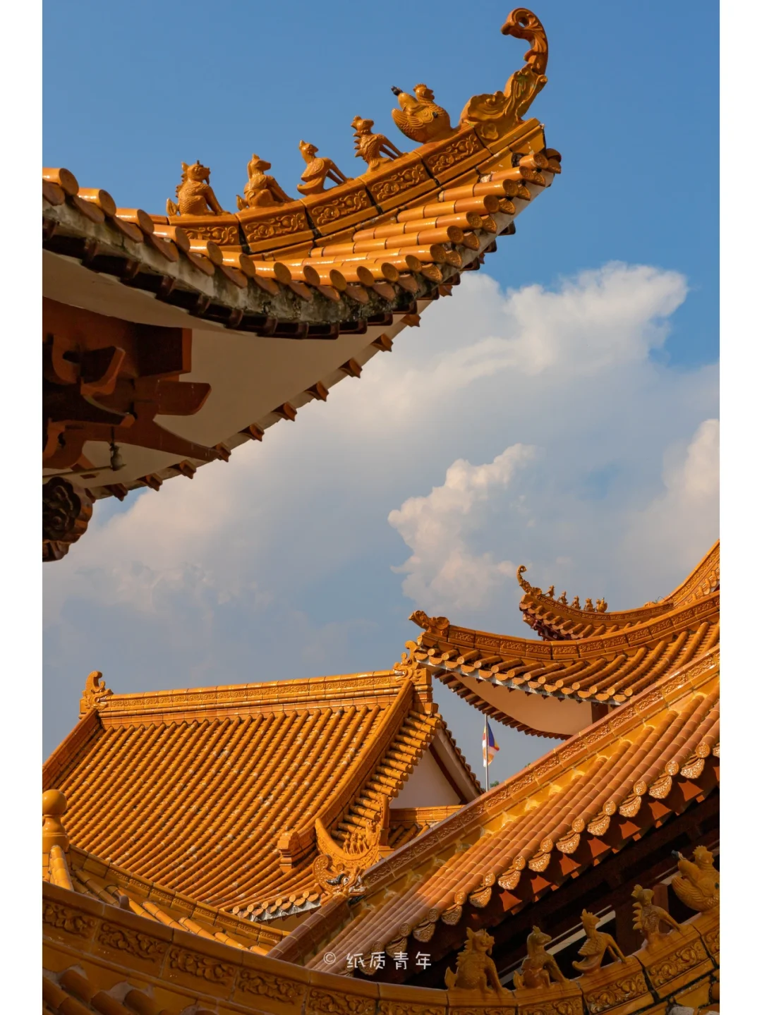 深圳仙湖植物园弘法寺|愿万事顺意有求必应