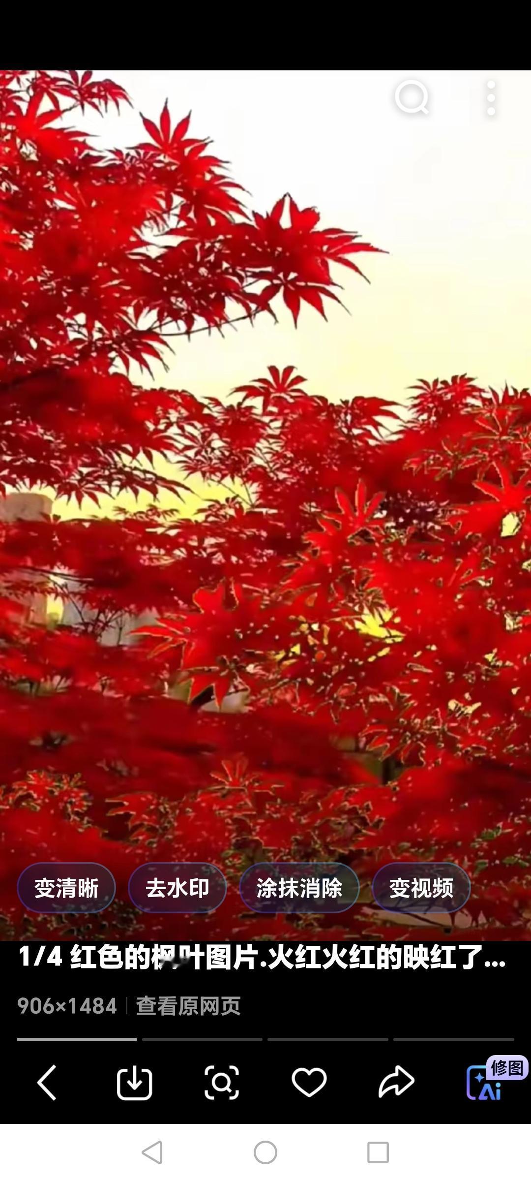 相思引～吹断相恩念

柳烟浓，梅雨散。
芳草芊芊堤满。
花蕊香来送远。
陌野禾香