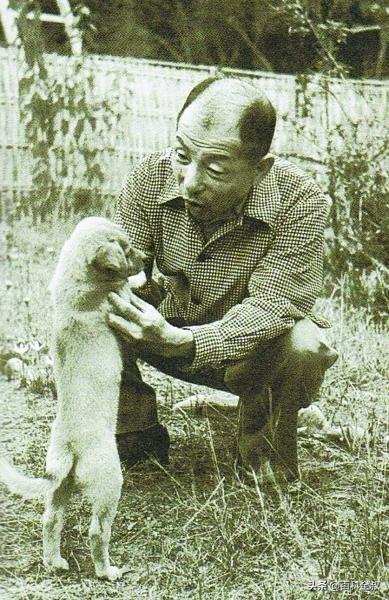 九一八事变时执行不抵抗政策。
1931年，他因误判日军意图并遵行蒋介石“攘外必先