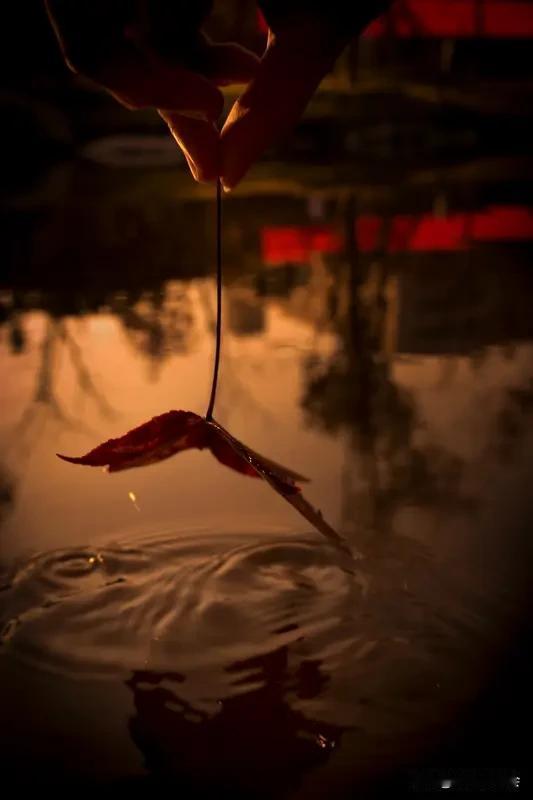 人生不如意，十有八九。上班不顺、感情波折、身体亮红灯，这些都太常见了，别老觉得自