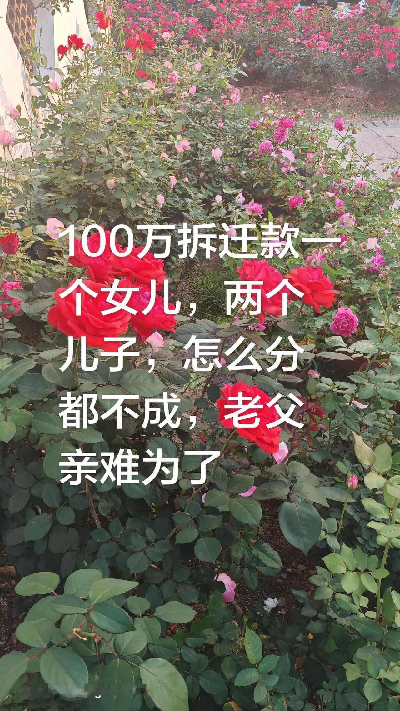 为难老父亲了。