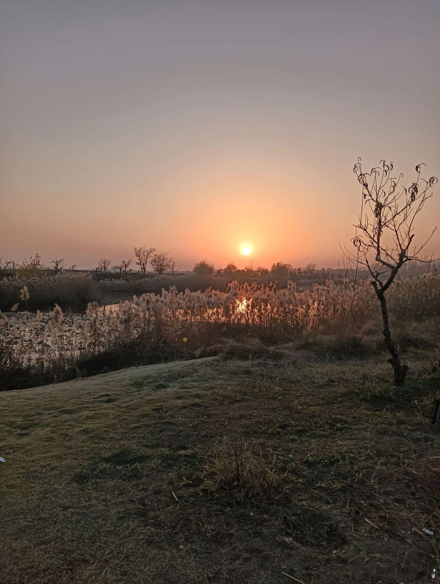 随手拍当你明白钱难挣，情难续，话难辨，心难懂，命难改，人难做，恭喜你社会这一课你