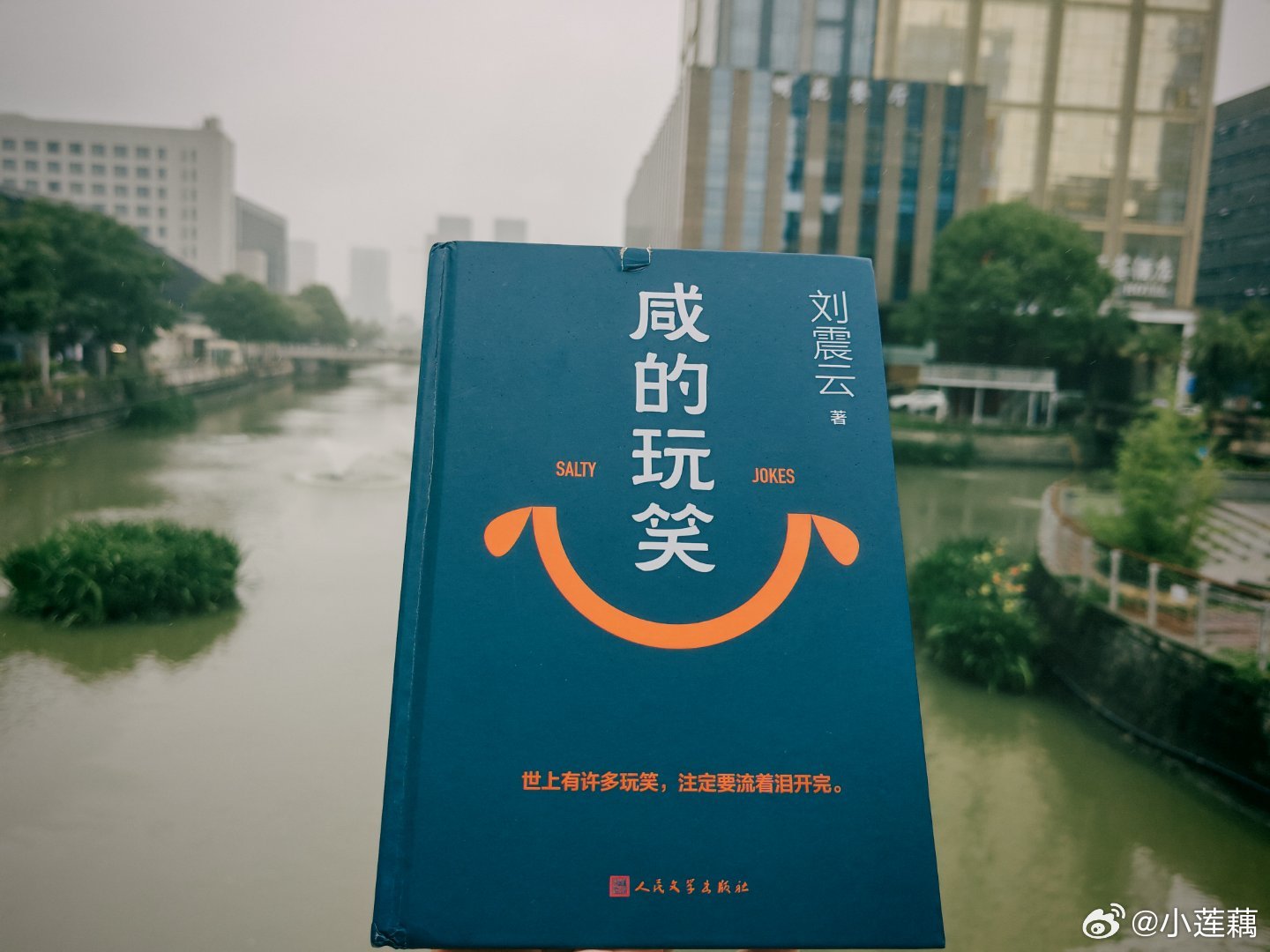2026年手边书《咸的玩笑》卉卉一月初送我的书，现在才看。很唏嘘，一个普通人的一