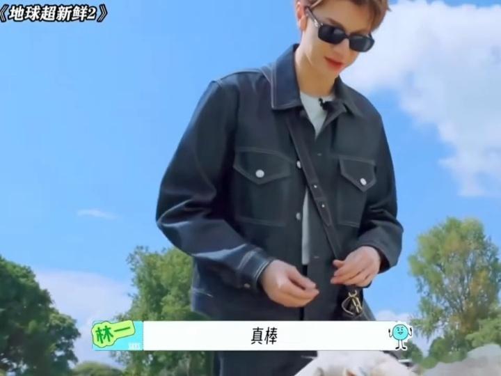 王玉雯林一把羊当狗训王玉雯林一抽象姐弟又发力了地球超新鲜和小羊近距离接触充满趣味