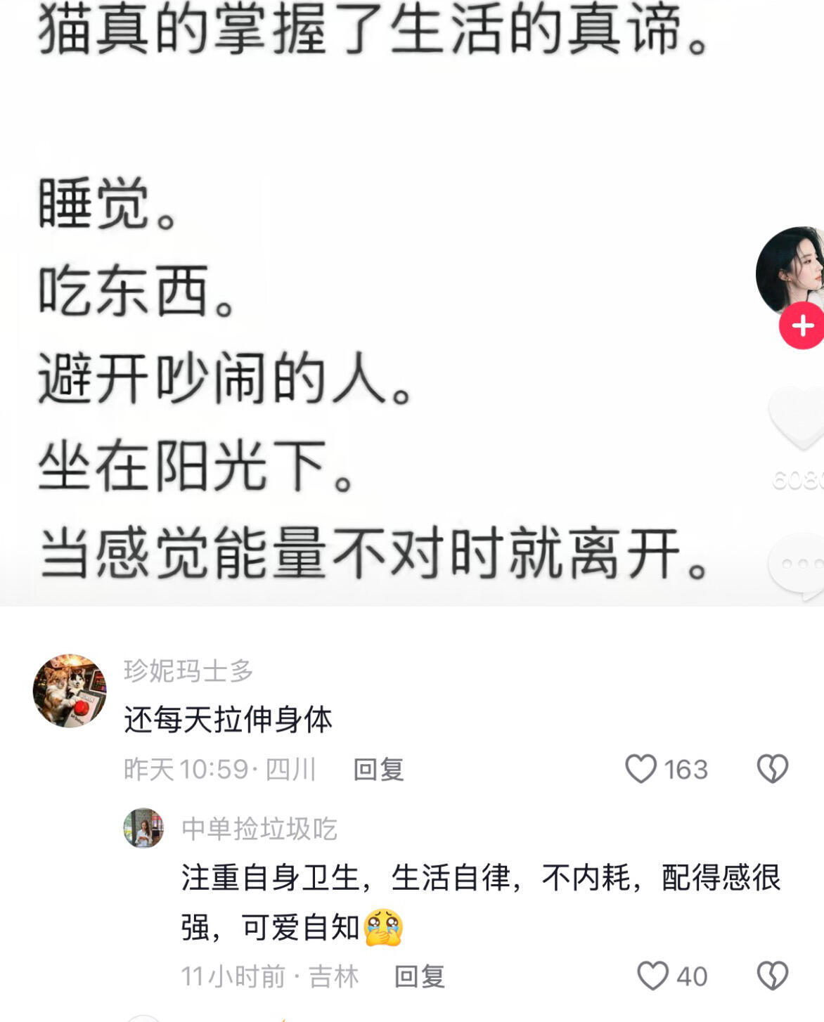 猫真的掌握了生活的真谛 
