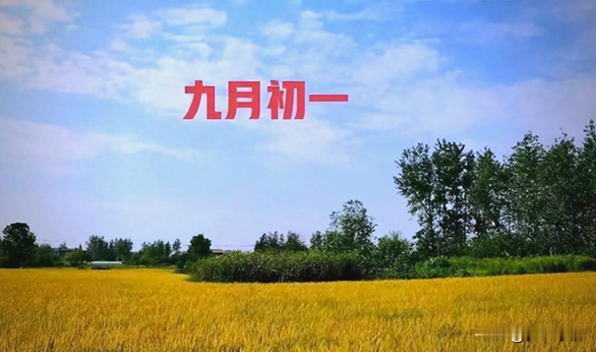 今日九月初一，老人说最怕“九月初一是晴天”，晴天有啥预兆？

各位家人们，时间过