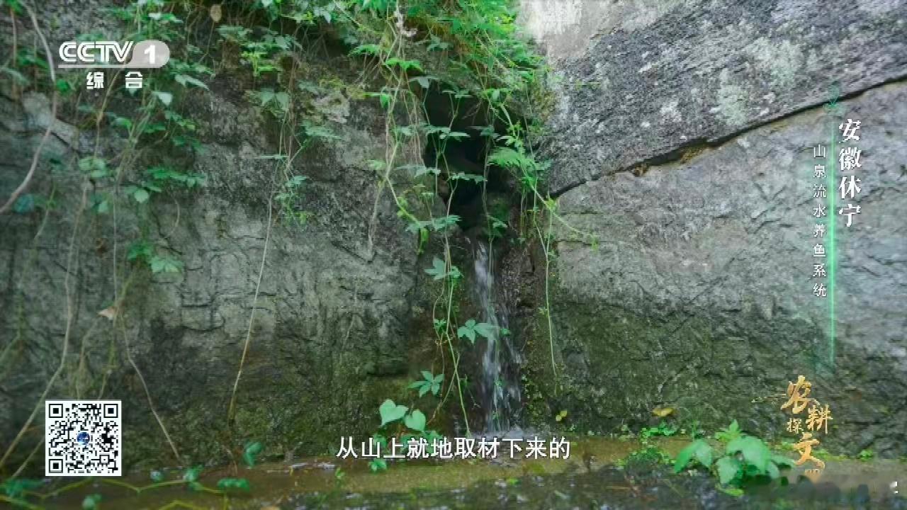 中国古人养鱼用流体力学 古人通过流体力学设计的鱼池，不仅让水流更加活跃，还能养得