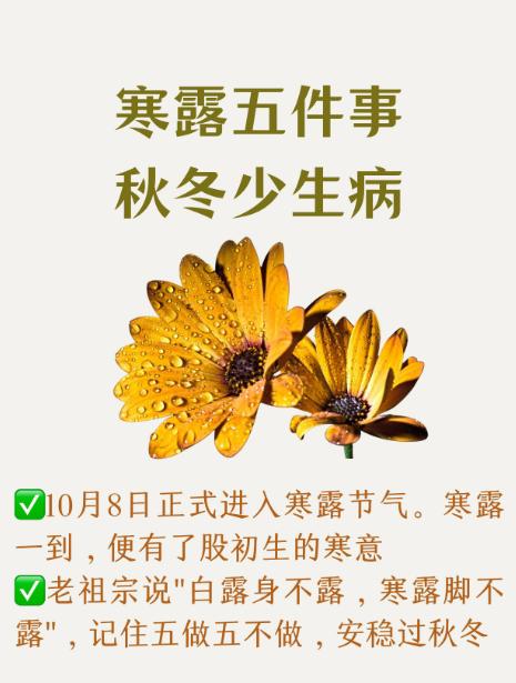 “寒露脚不露，露了冻出老寒腿。”
 
这话你肯定听过，但气象部门刚辟谣：寒冷并非