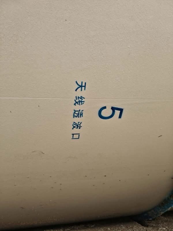 6月15日，菲律宾人在巴丹加斯省利亚恩市卢亚汉村塔利姆区海岸线上，发现6月11日