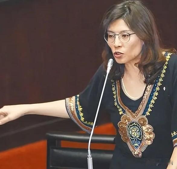 “美国是我们恩人”“我们不会忘恩负义”郑丽文访美前说“美国是我们的恩人”并口口声