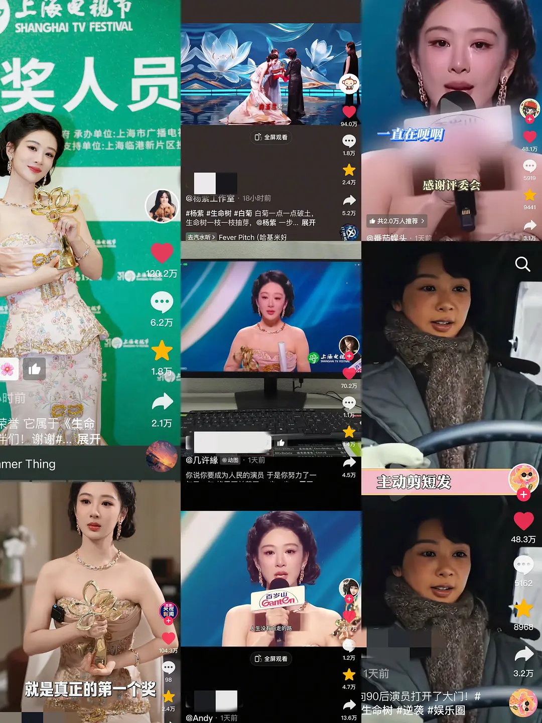 白玉兰口碑这一届白玉兰，被路人评价为和谐的一届，也是实至名归的一届。归根结底，是