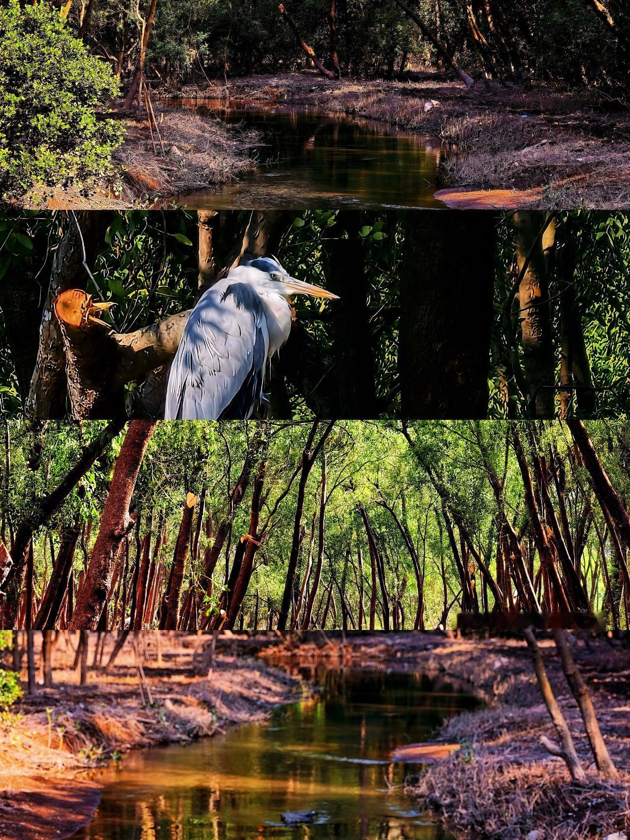 生活记录，给一个机会，让阳光把我晒透吧～温度26
温暖的可以脱下长袖
广东没有冬