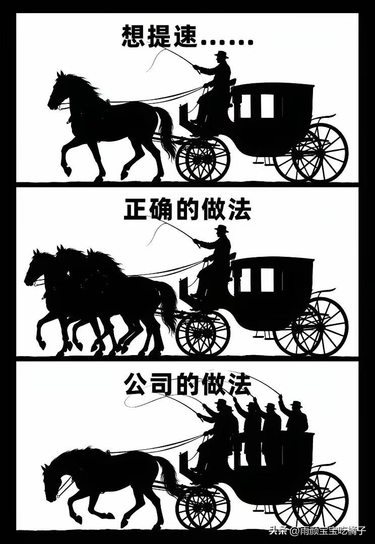 不得不说，这是年度最佳漫画，没有之一！[赞][捂脸]