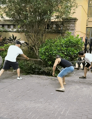 我居然看的那么认真，结果大吃一惊，草率了，人呀，真的不能吃太饱……[捂脸]