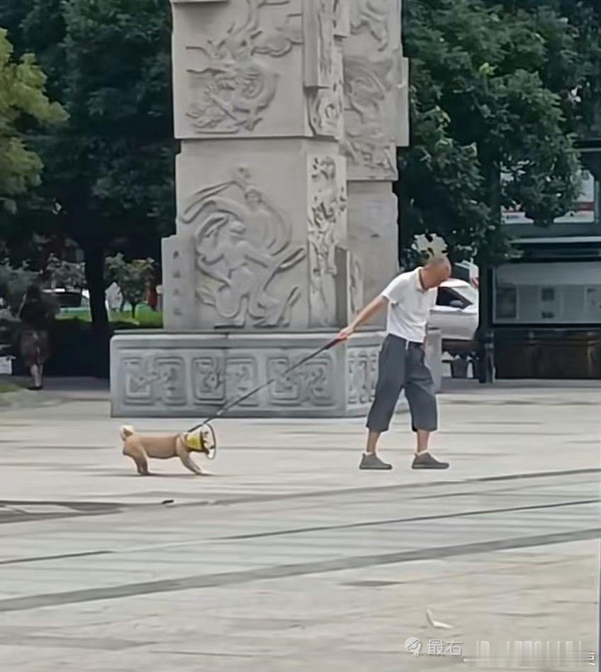论文科生和理科生对画面的解读有多离谱 ​​​