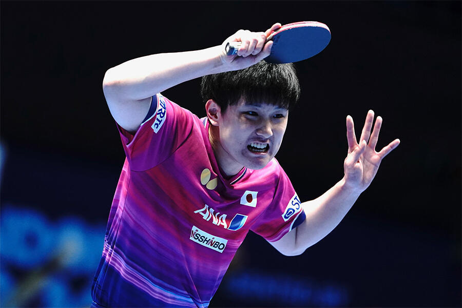 张本智和张本智和2026年伦敦世乒赛 男团R16图片📷P1-2: cr. ta