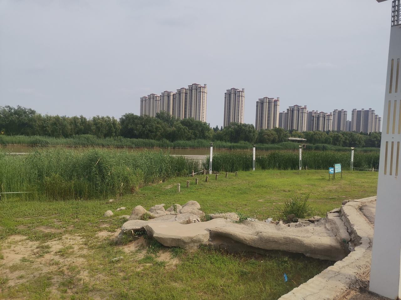 望着即将消逝的乐园，深以为憾！
    德州市减河湿地公园的沙滩，曾是无数孩子的