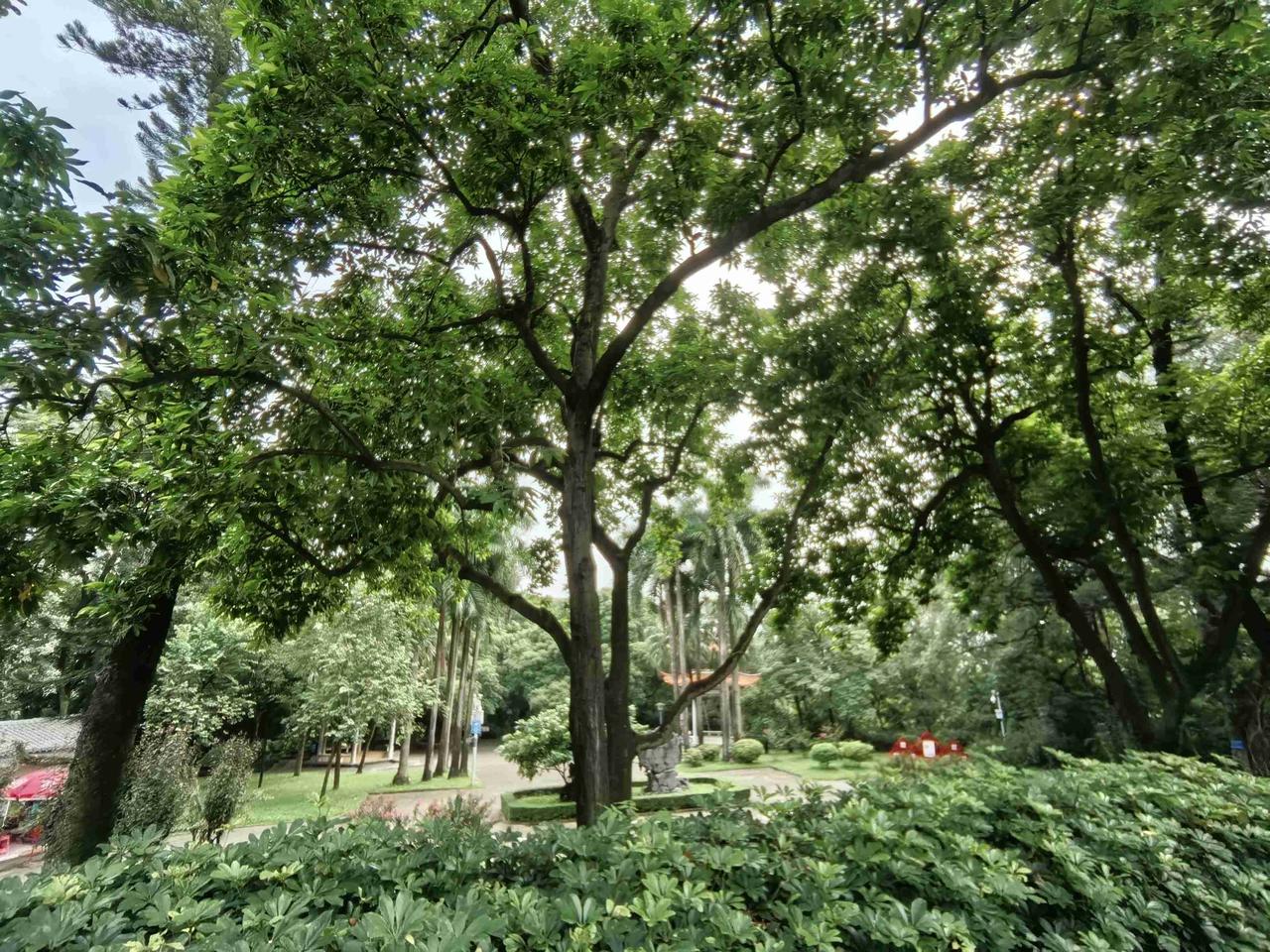 又是薅羊毛的一天！

2026年薅羊毛过年，目标2🎯—200元

7月20日，