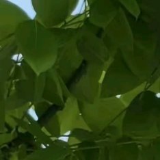 阳光信用 阳光信用 每日一善 生活，需要一点阳光，生命，需要一些勇敢，纠结过去，