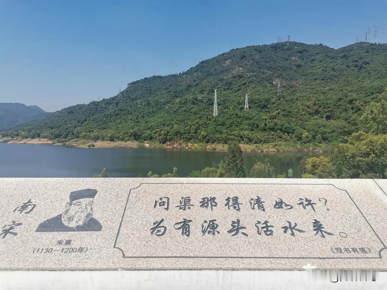 问渠哪得清如许，
唯有洪水不来时。