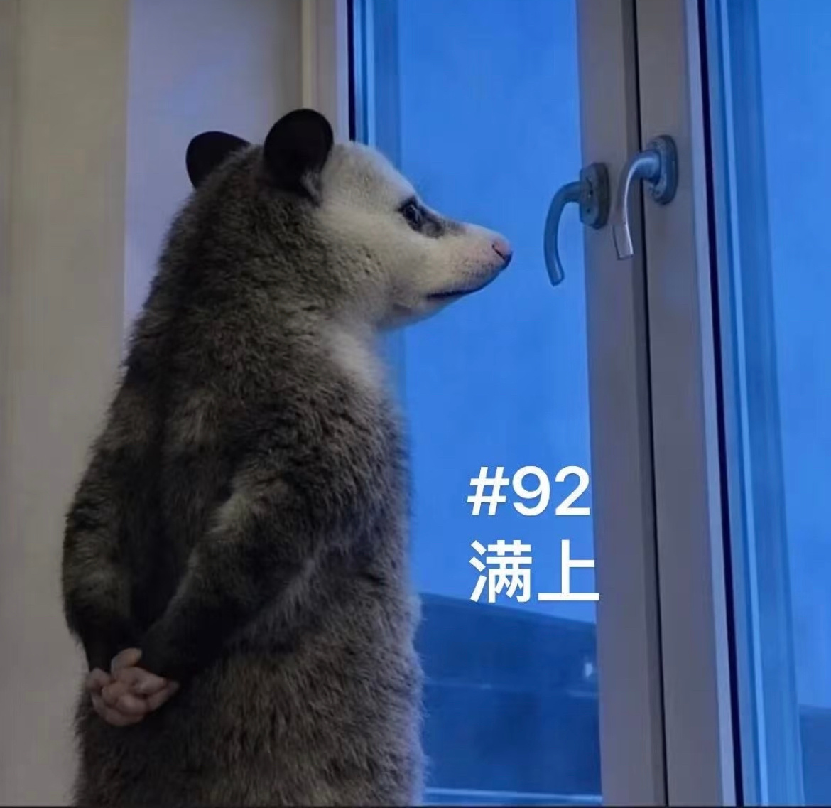 加满一箱油能少花20.5元油价今晚下调了，明天有人一起去加油吗？直接加满