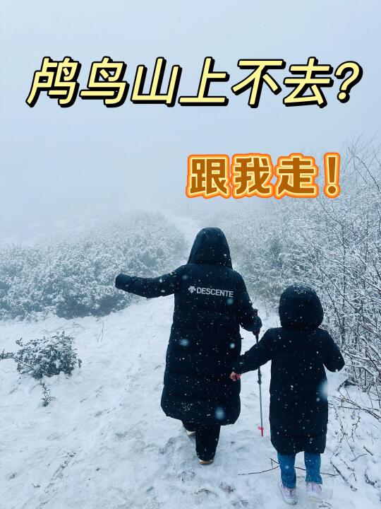 鸬鸟山看雪！封山上不去？试试走这里吧！亲测