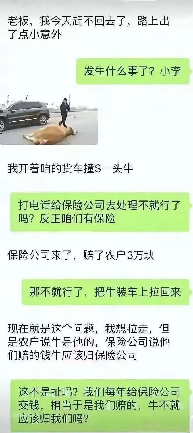 开车撞死牛，保险公司赔了钱，可这牛到底该归谁呢？是车主拿走，还是归牛主人所有？这