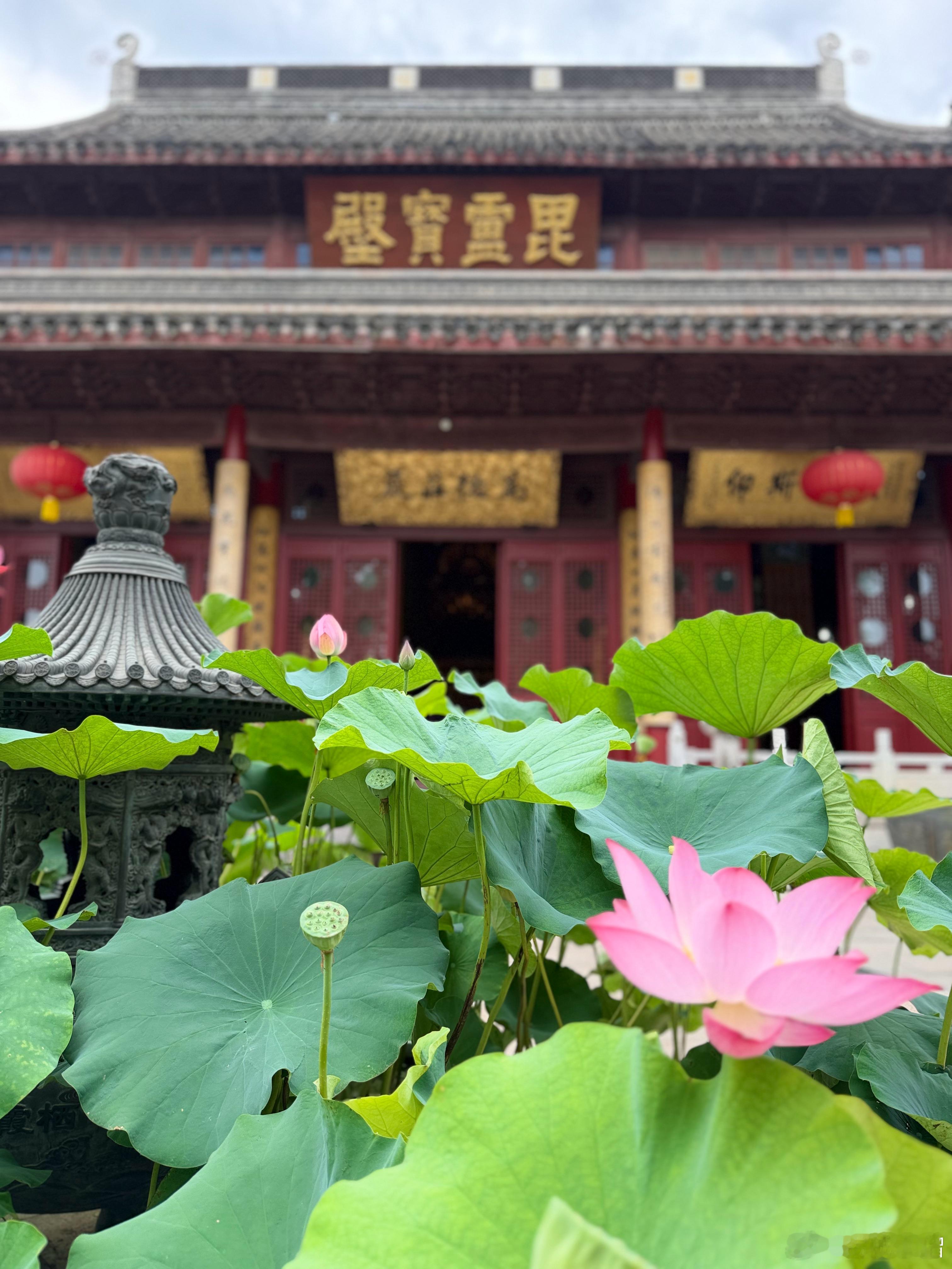佛教  师父说：心火起时，收住伤人之语。 