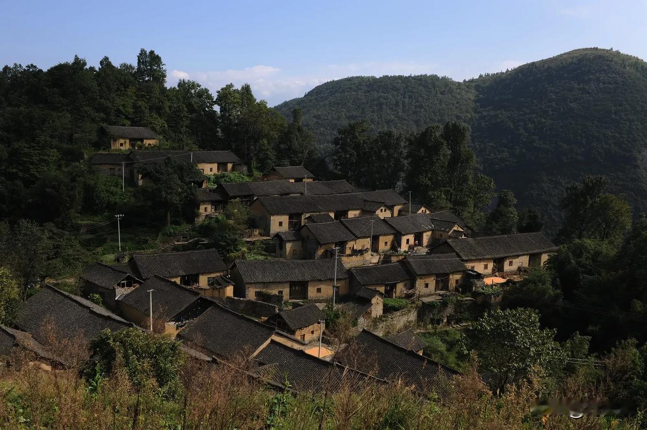 七律.重读《清平乐.六盘山》有感
（2024年11月30日）
云淡天高雁欲飞，月