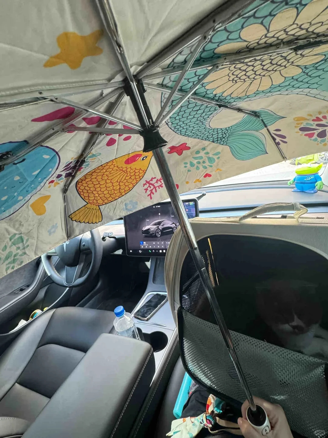 特斯拉出新专利解决天幕防晒今天刷到个视频，能忍受特斯拉的5个缺点就可以买，首当其