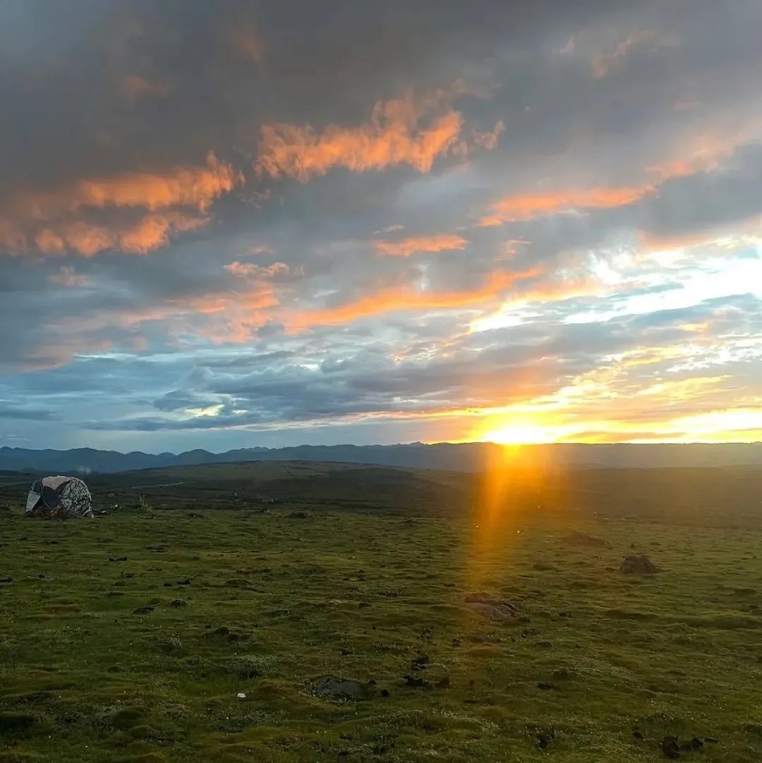 出门走了走，风很舒服。 