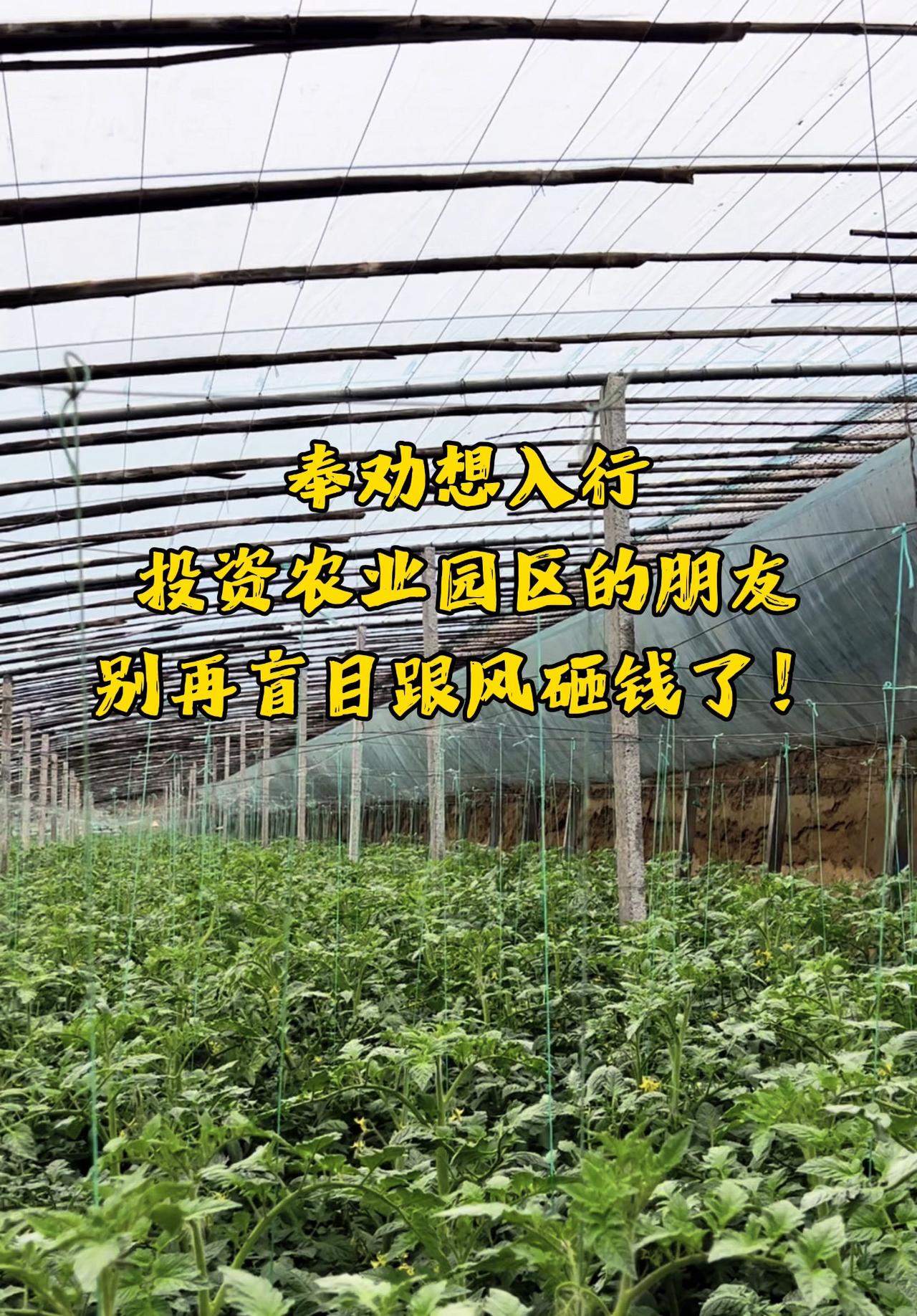 跟农民抢饭碗、你根本抢不过！在寿光做农业这么多年，看透一个现实。

很多大老板、