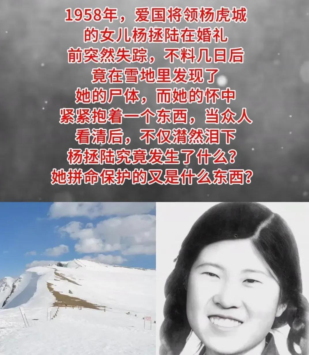 1958年，爱国将领杨虎城的女儿杨拯陆在筹备婚礼期间离奇失踪，几日后，她的尸体出