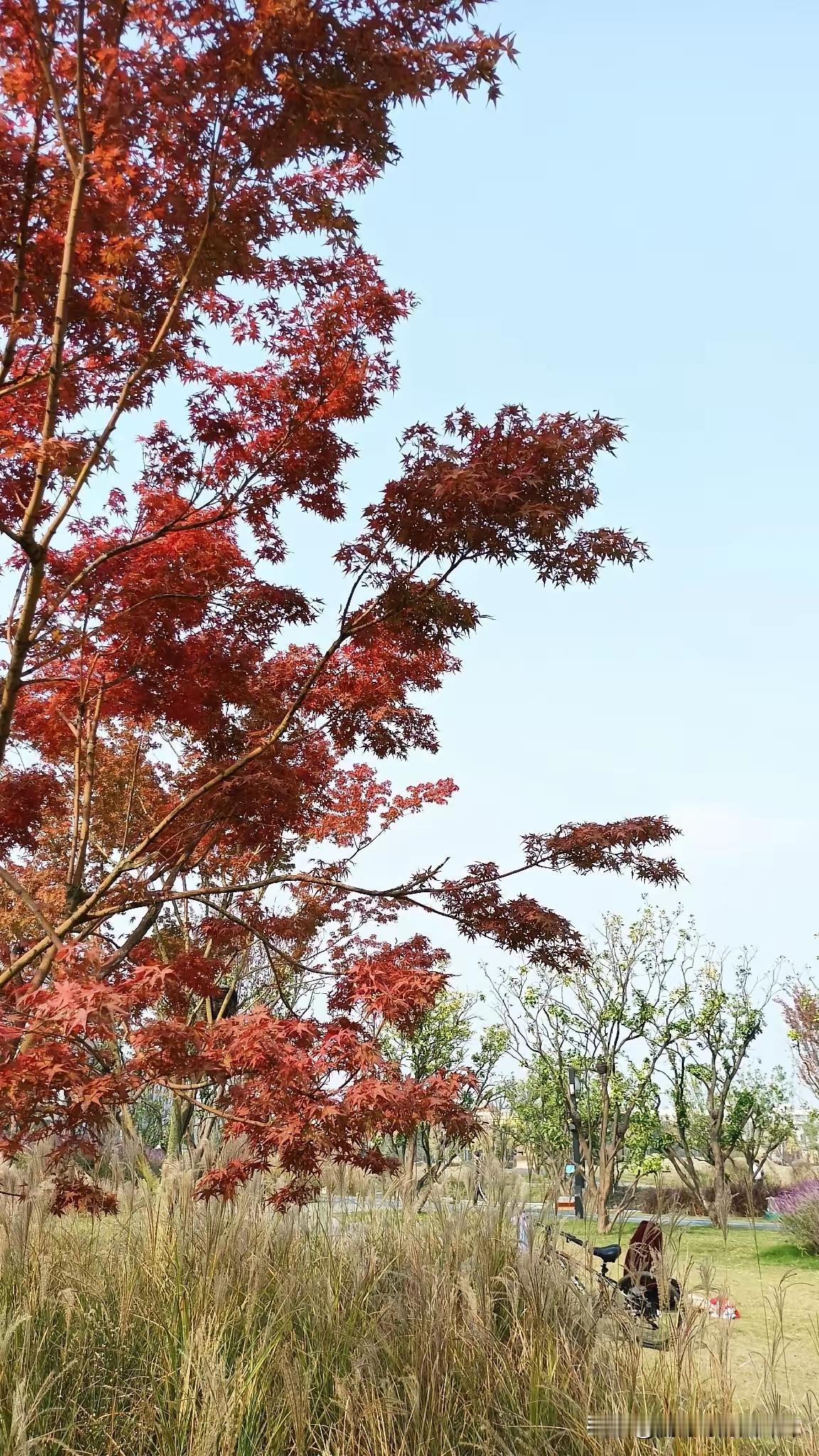 太糟心了？
同事的女儿恋爱同居怀孕了，本以为男方会积极主动提出结婚，哪知道人家若