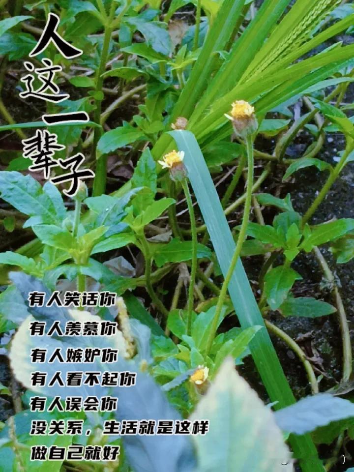 晒图笔记大赛