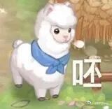 呸！！！！！！ 