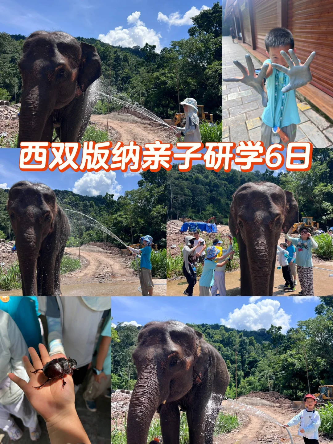 省心 不费妈 西双版纳暑假亲子研学6日