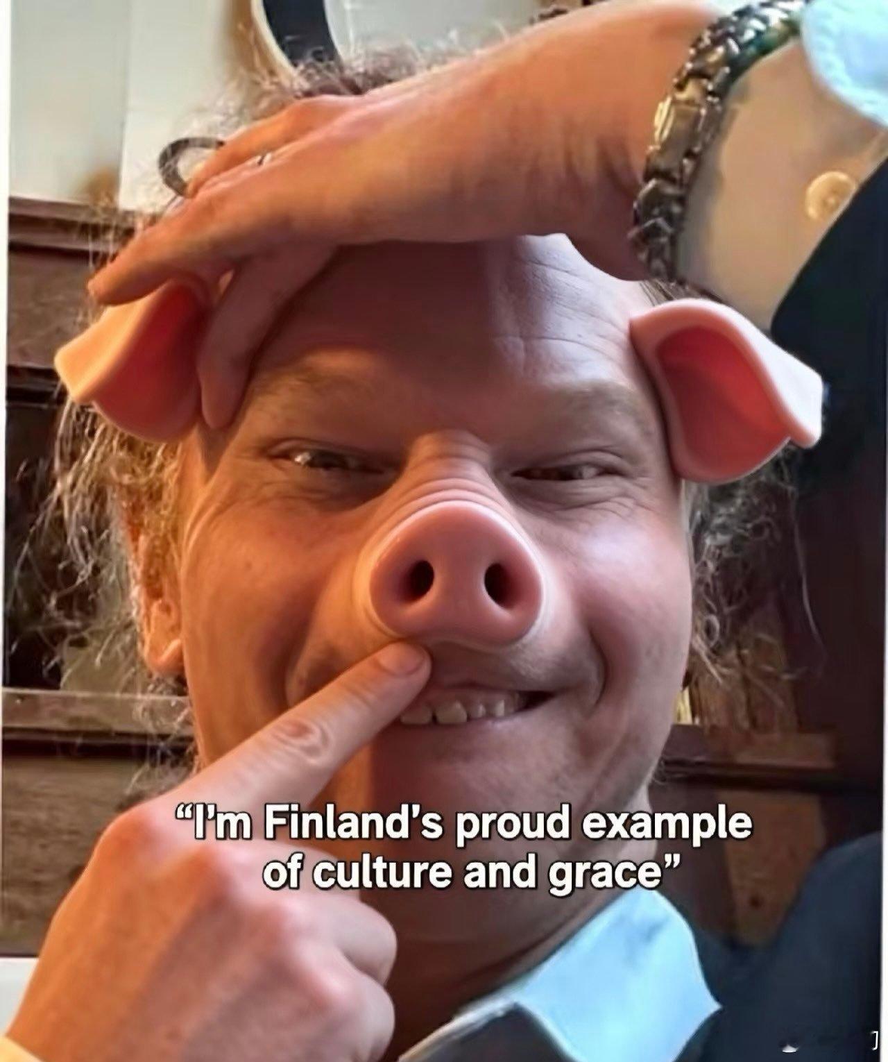 芬兰猪图片留存备用。外网原来有三个很有才华的爱国女画师！其中一位还给我的大号画过
