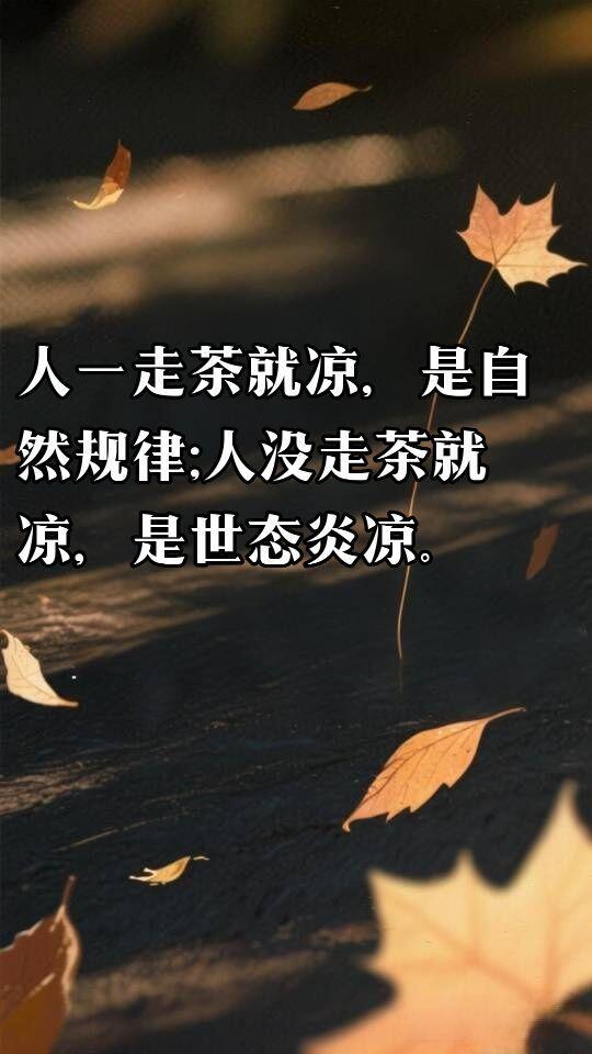 慢慢就接受了。人走茶凉本是世间常态，位子一退、利益断开，往来自然变淡，不必怪人情