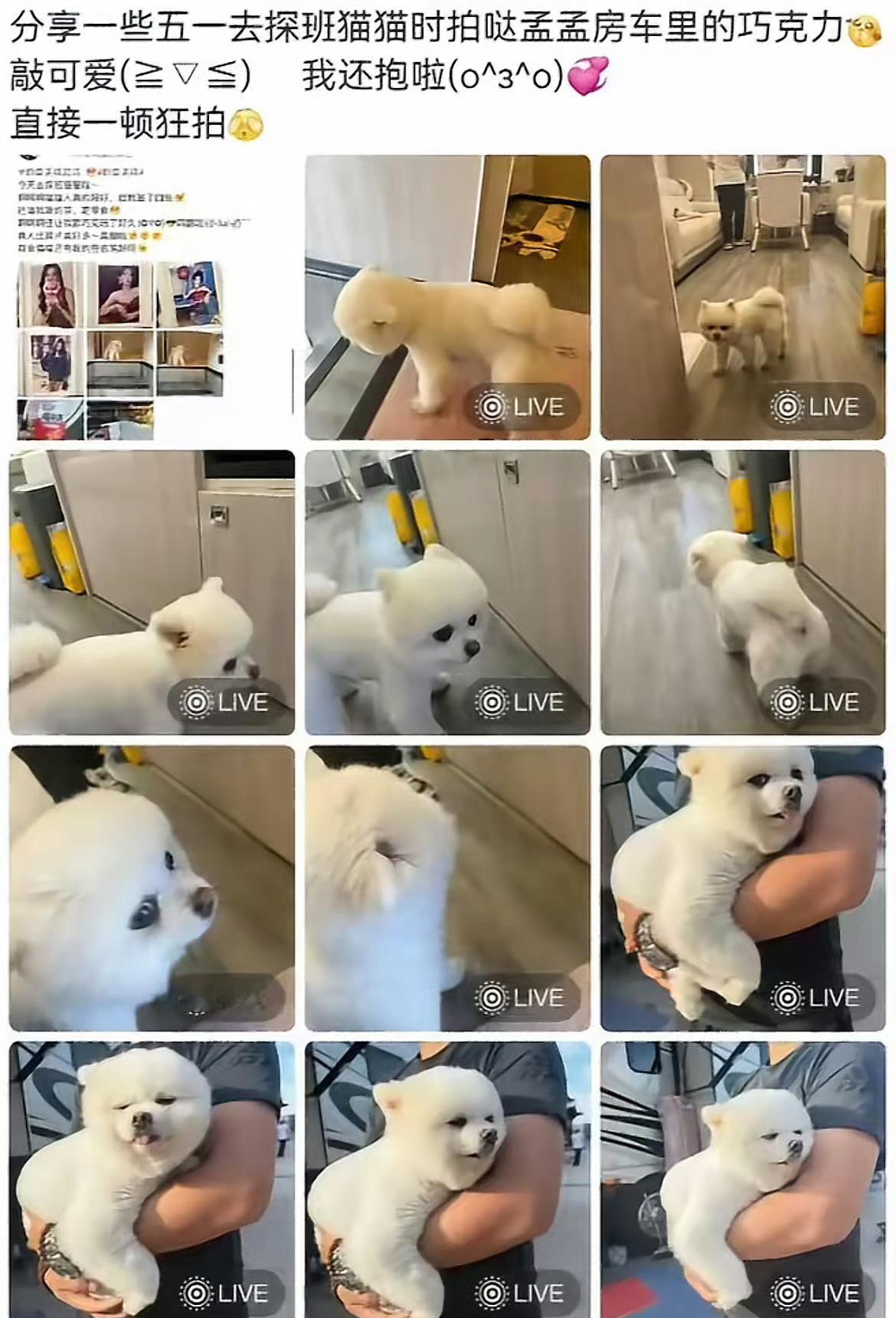 孟子义经纪人道歉 这就很无语了，作为人家的经纪人，居然还带陌生人去孟子义私人的房