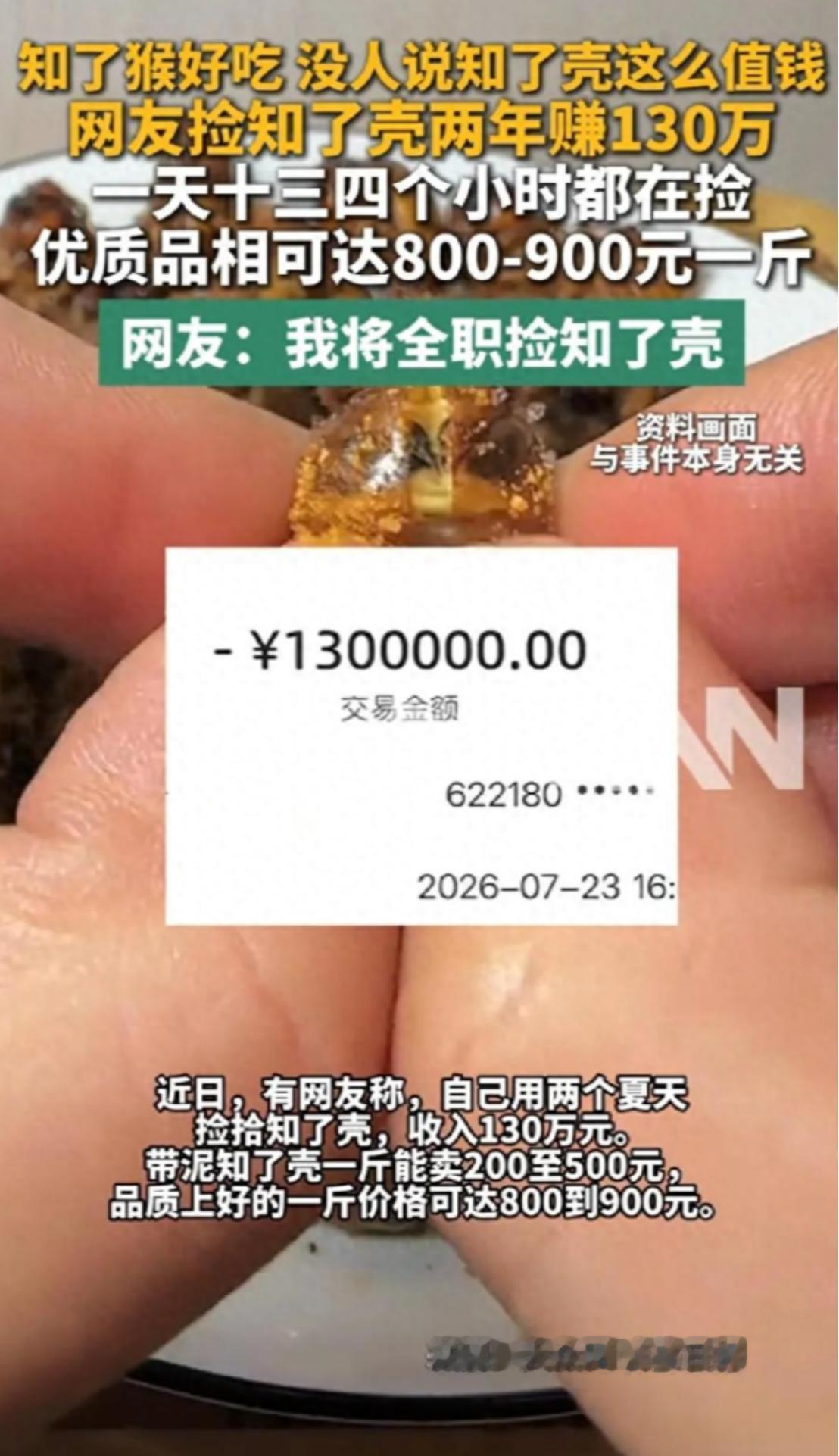 捡知了壳两年赚130万！江西一名男子连续两个夏天捡知了壳，最后卖了130万元，这